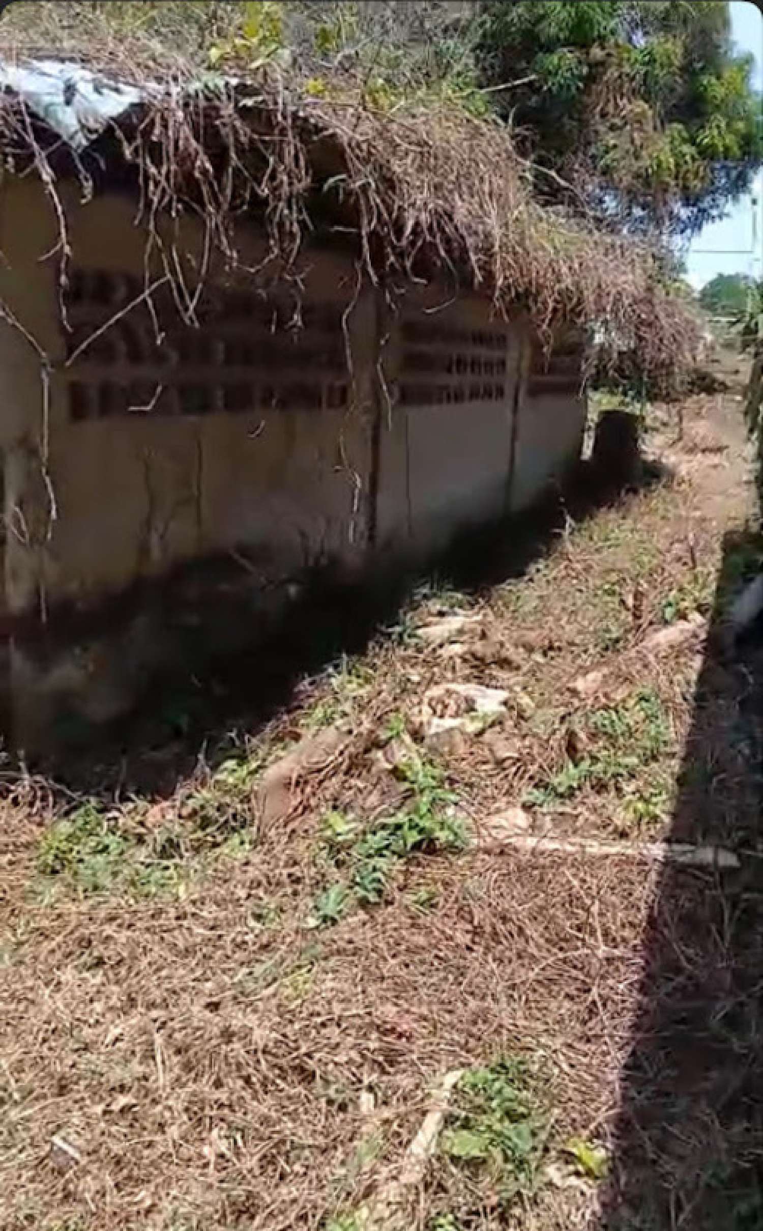 te koop huis Remire-Montjoly Guyane 3