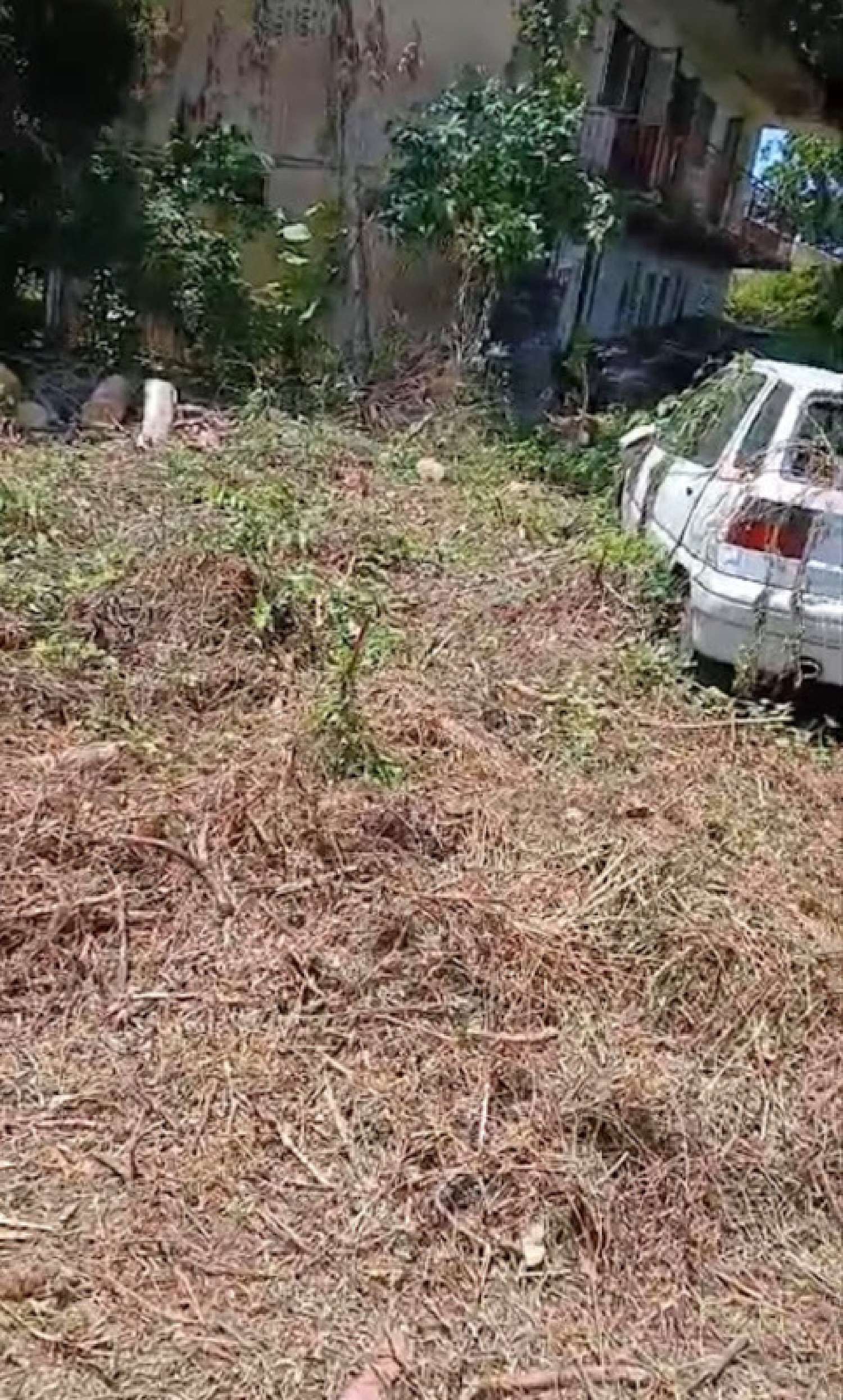 te koop huis Remire-Montjoly Guyane 4