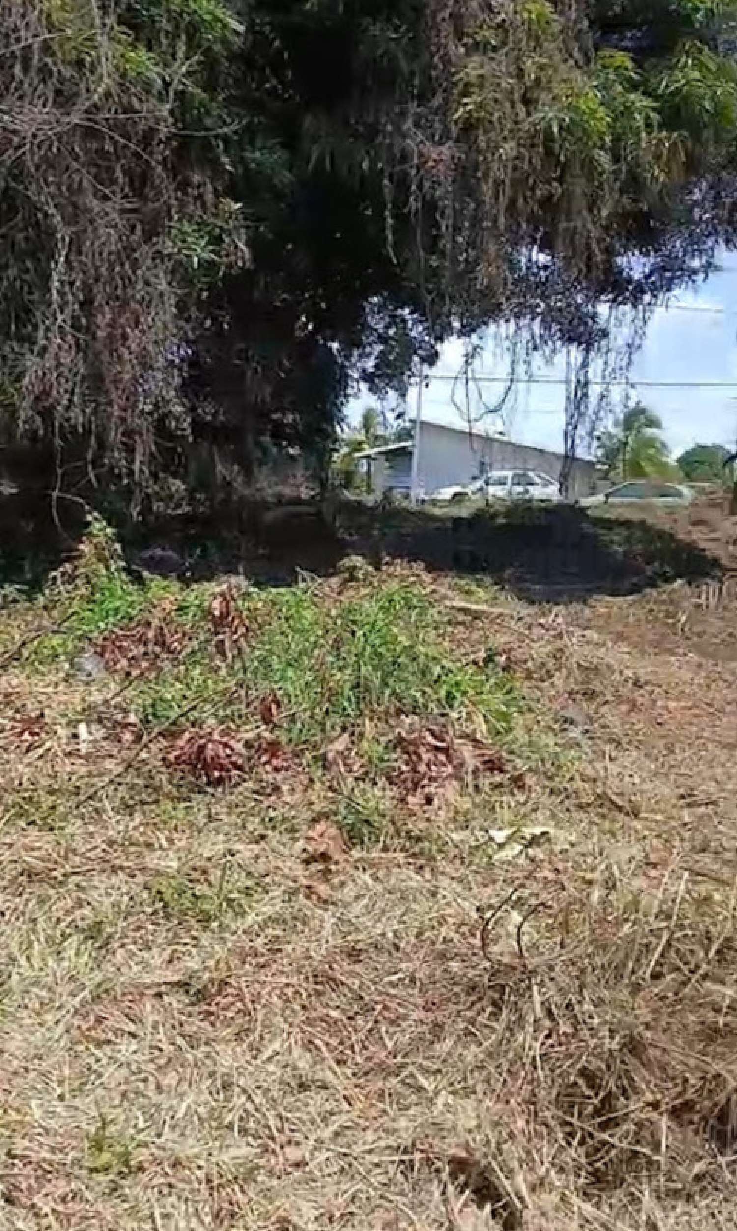 te koop huis Remire-Montjoly Guyane 7