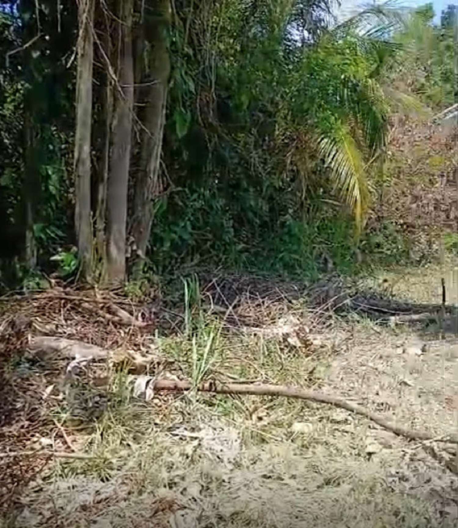 te koop huis Remire-Montjoly Guyane 8