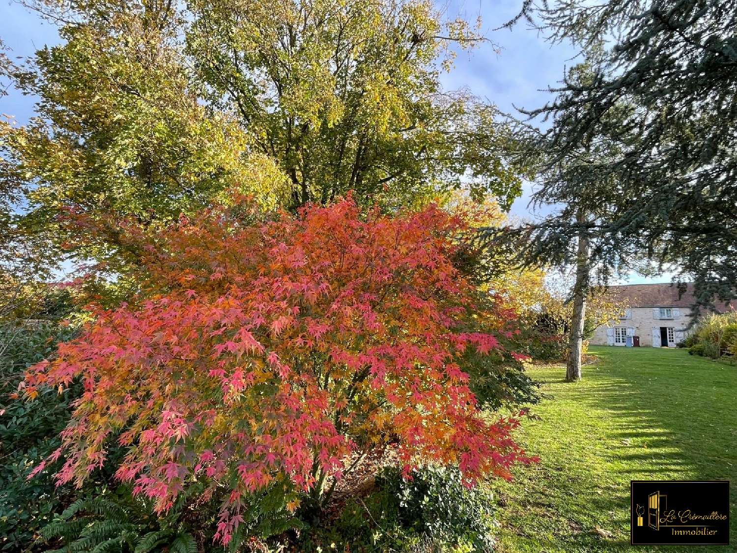 for sale house Richarville Essonne 4