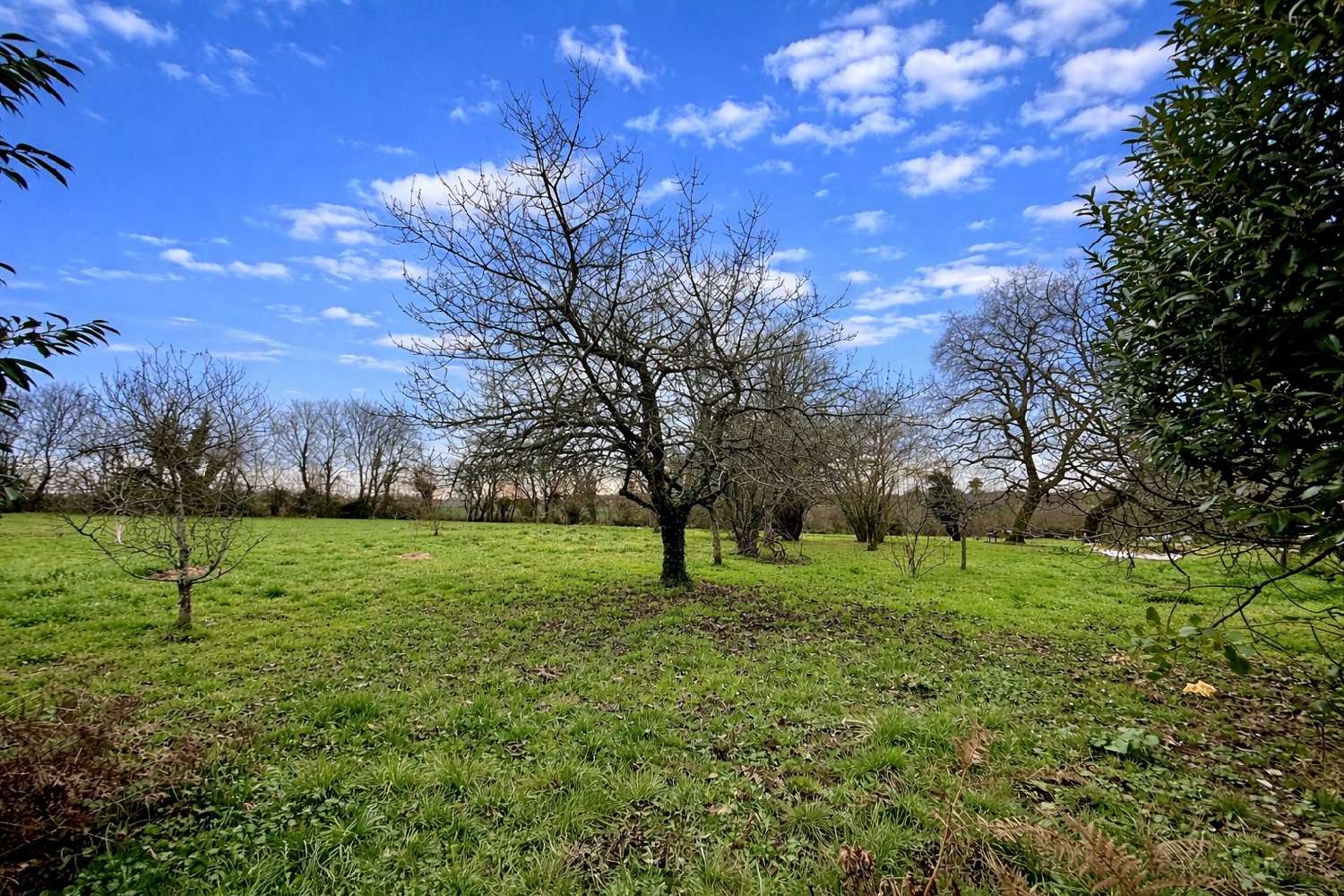  te koop huis Rom Deux-Sèvres 3