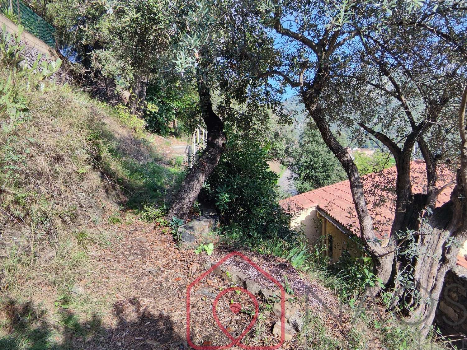  te koop huis Roquebrun Hérault 5