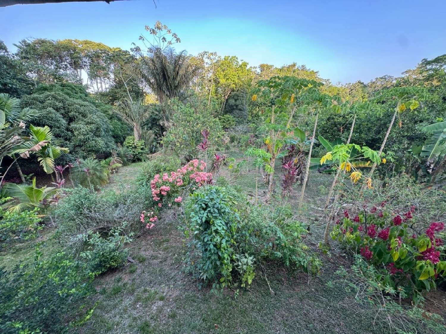 te koop huis Roura Guyane 8