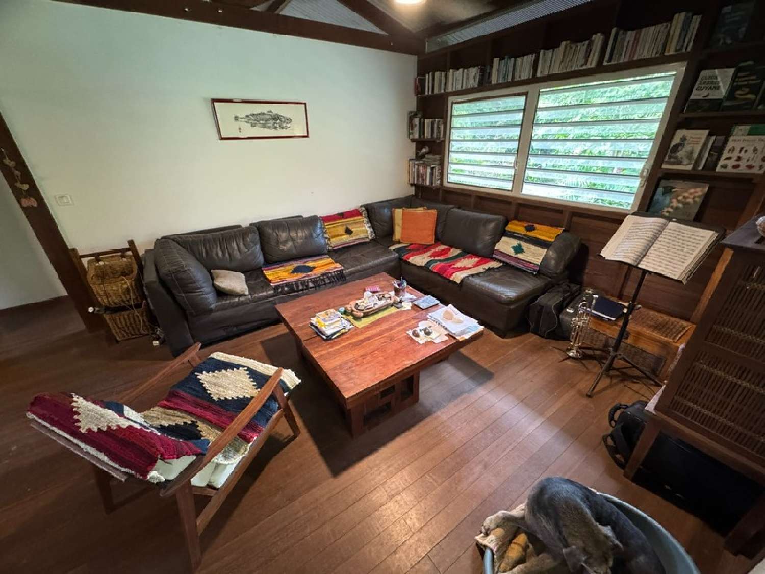 te koop huis Roura Guyane 2