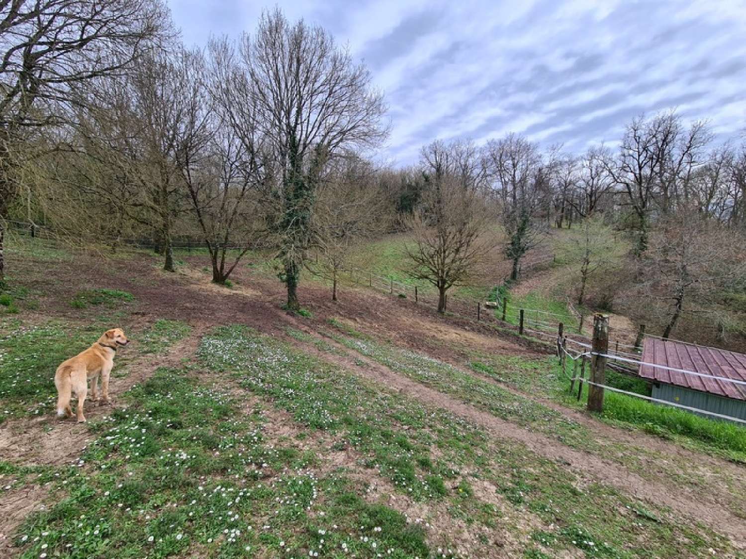  te koop huis Ruelle-sur-Touvre Charente 8