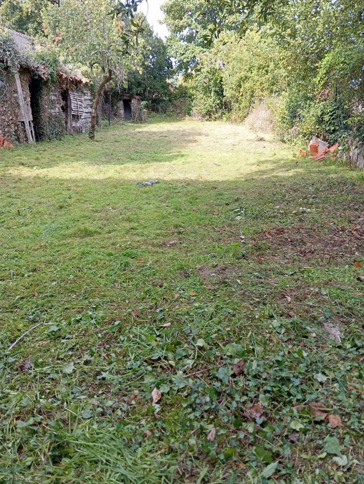  for sale house Ruffec Charente 4