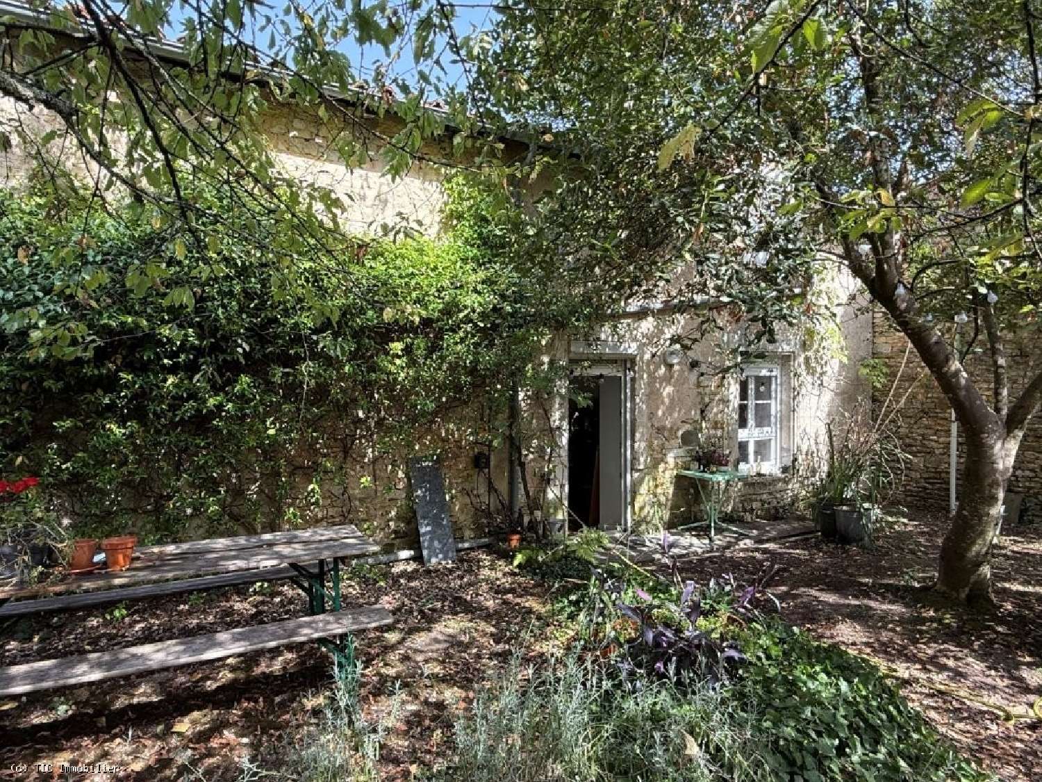 for sale house Ruffec Charente 1