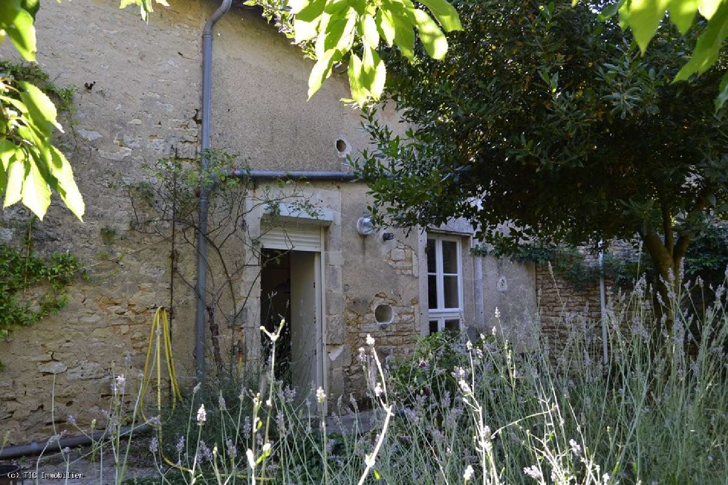 for sale house Ruffec Charente 5