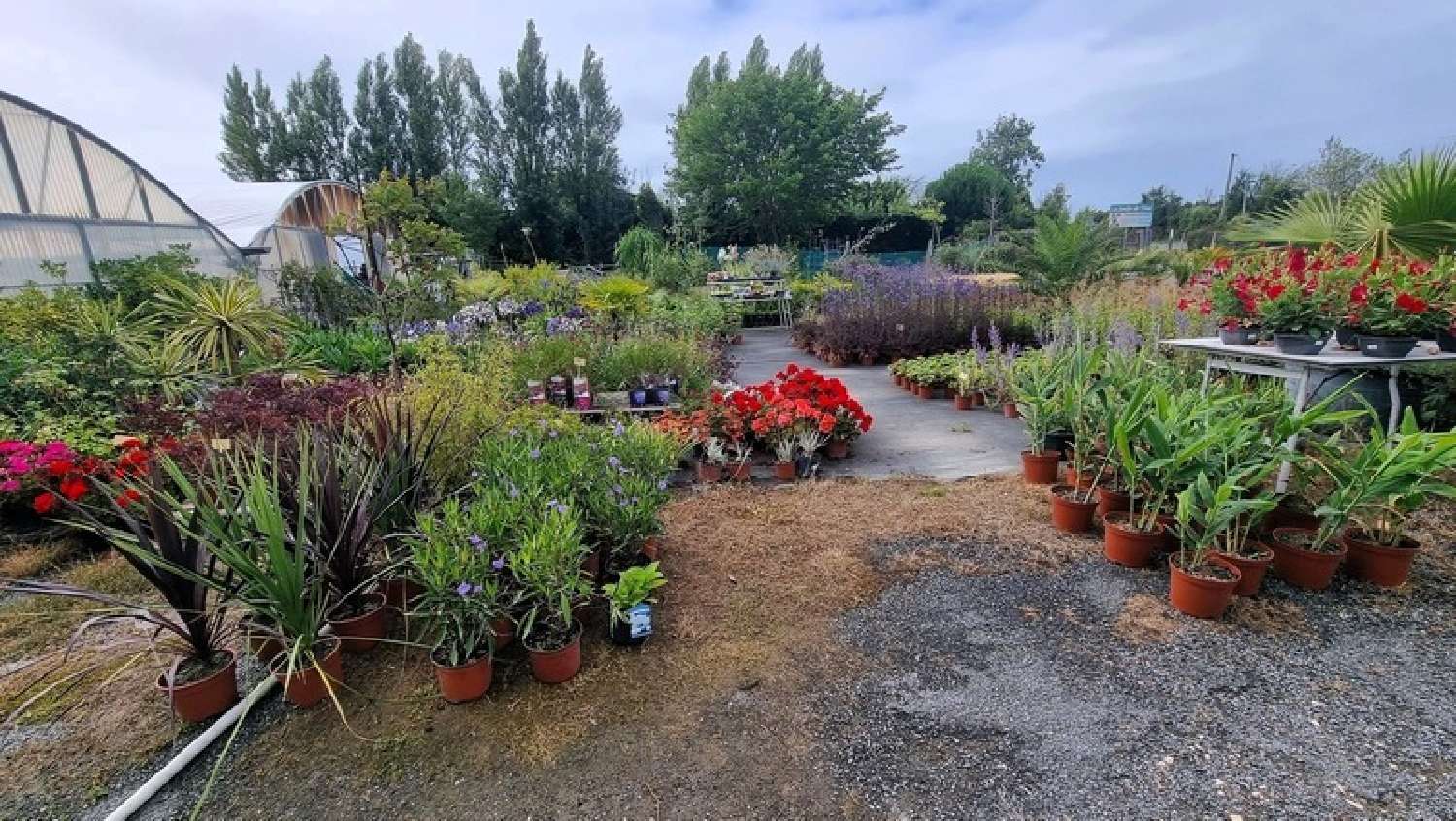 à vendre maison Saint-Denis-d'Oléron Charente-Maritime 3