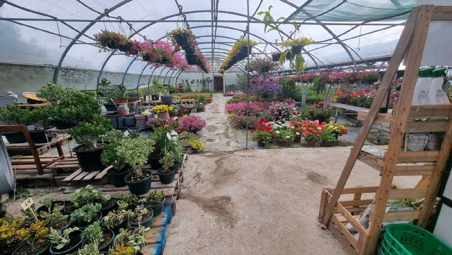 à vendre maison Saint-Denis-d'Oléron Charente-Maritime 4