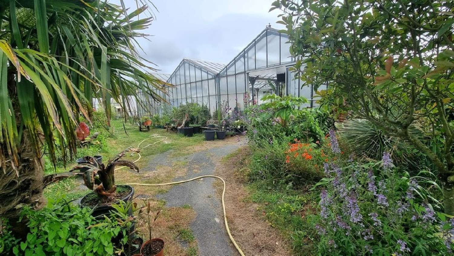 à vendre maison Saint-Denis-d'Oléron Charente-Maritime 5