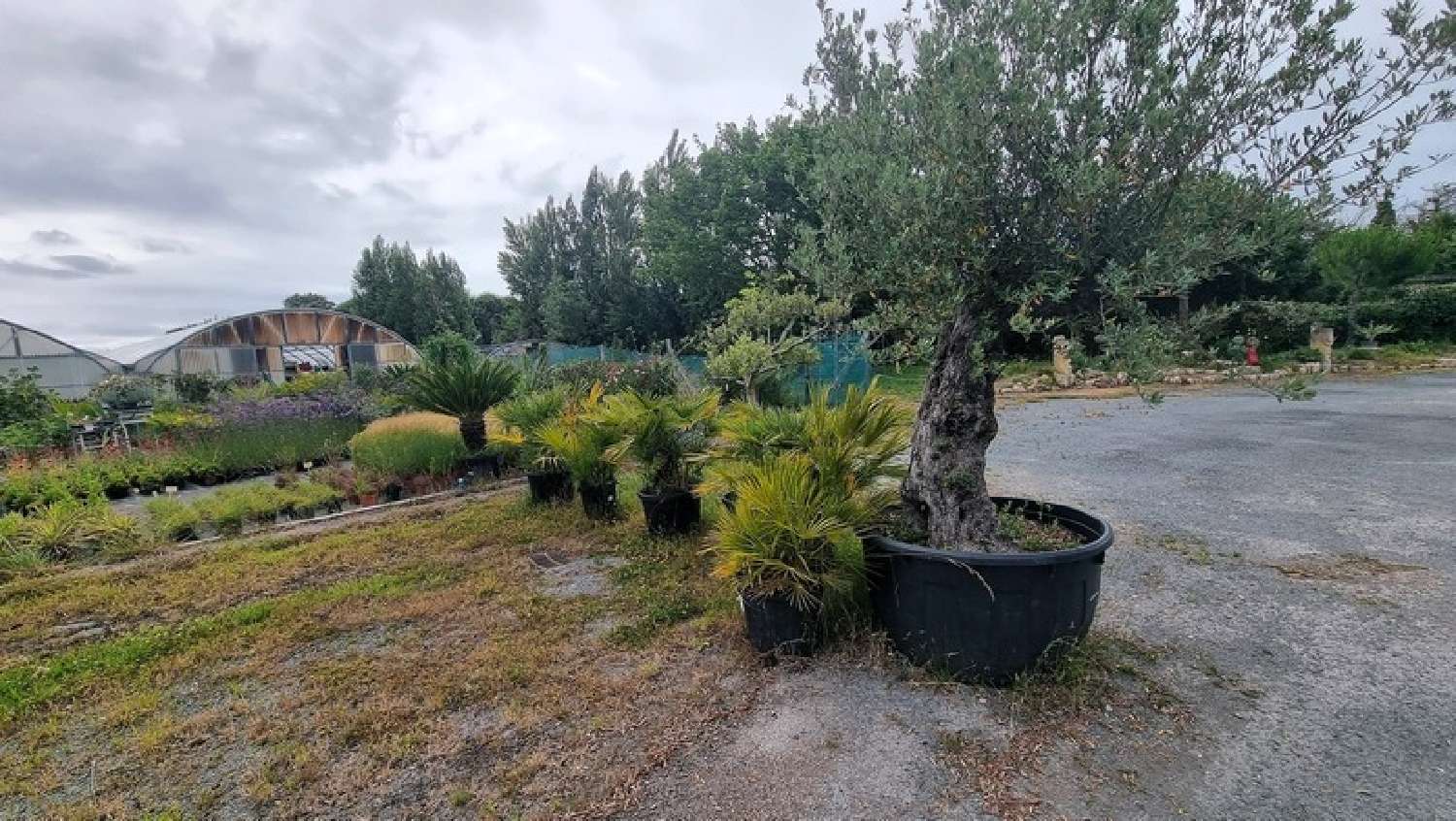 à vendre maison Saint-Denis-d'Oléron Charente-Maritime 7