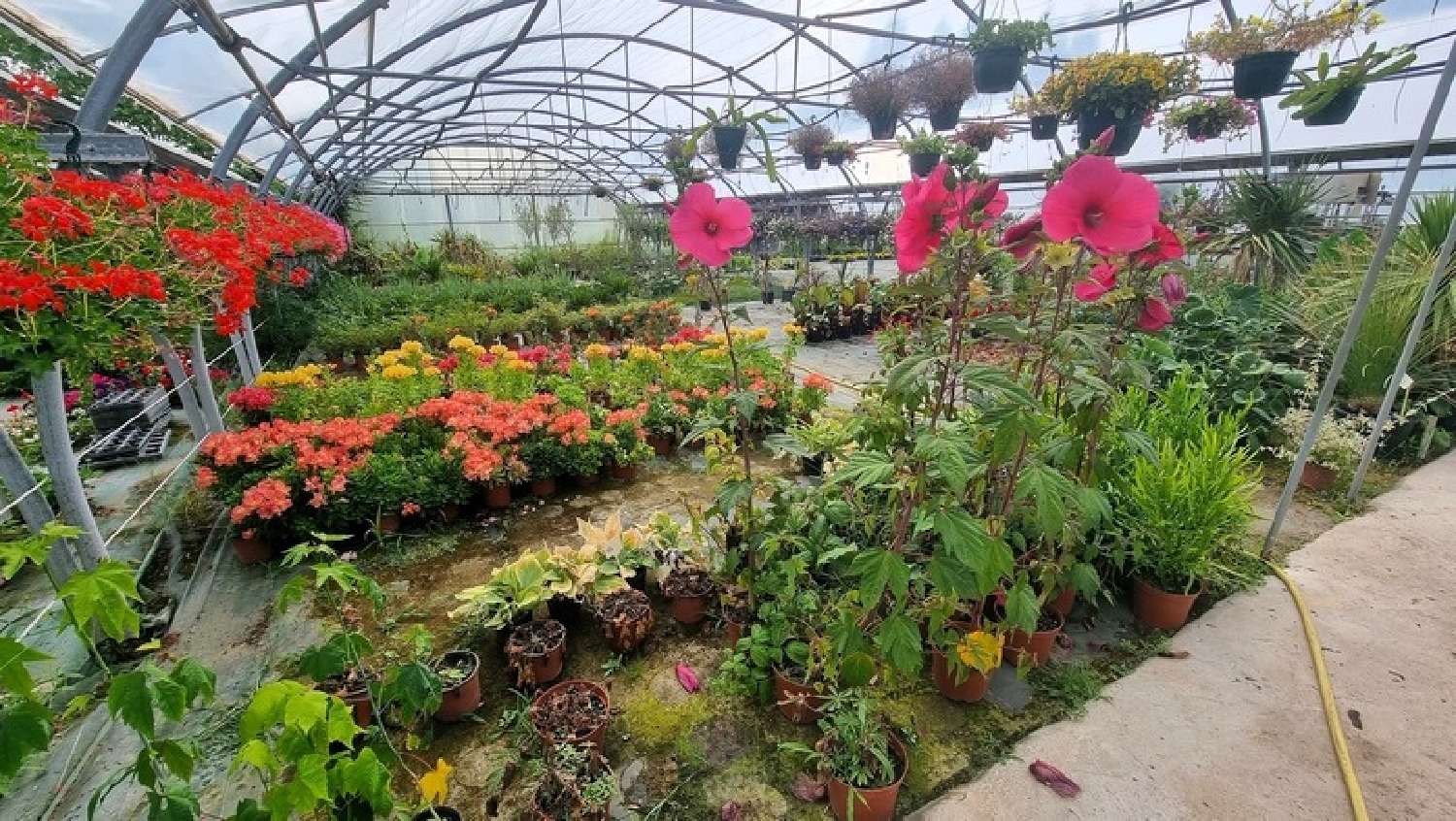 à vendre maison Saint-Denis-d'Oléron Charente-Maritime 8