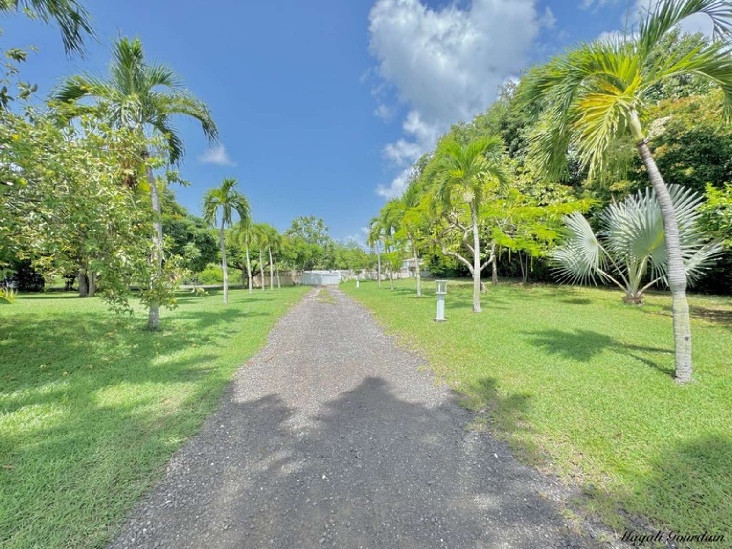 te koop huis Saint-François Guadeloupe 3