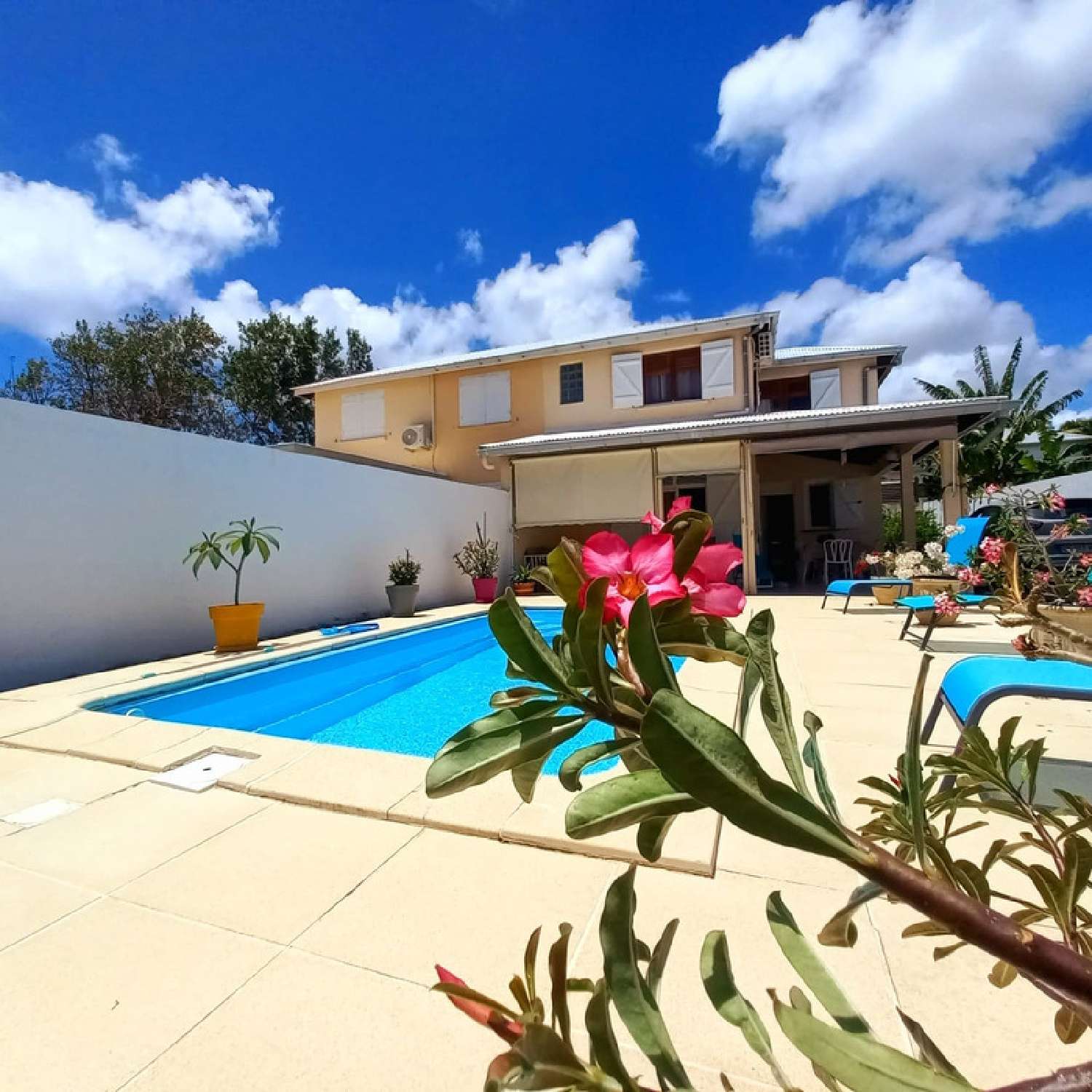  for sale house Saint-François Guadeloupe 2