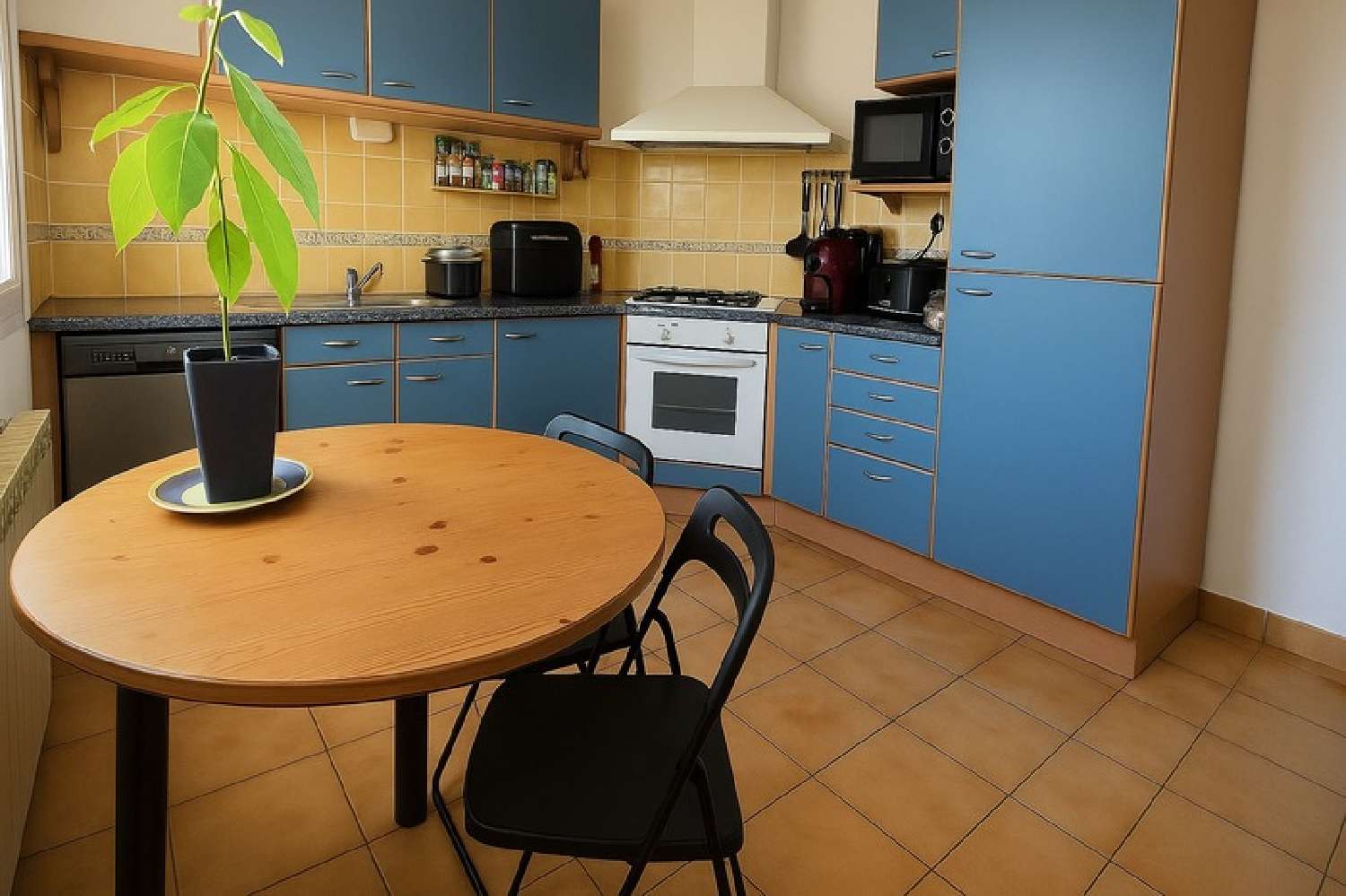 à vendre maison Saint-Gilles Gard 5