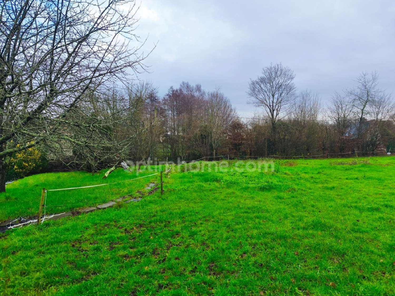  for sale house Saint-Just Ille-et-Vilaine 2