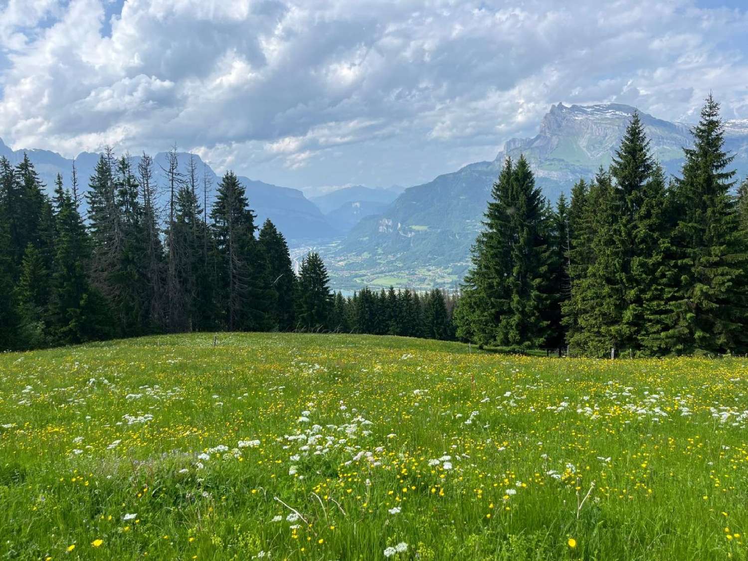 kaufen Haus Saint-Laurent-de-Carnols Gard 6