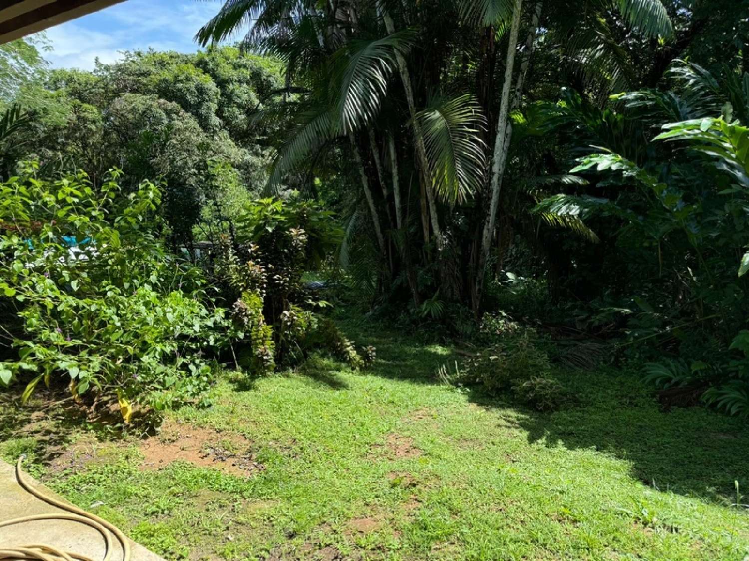  te koop huis Saint-Laurent-du-Maroni Guyane 2