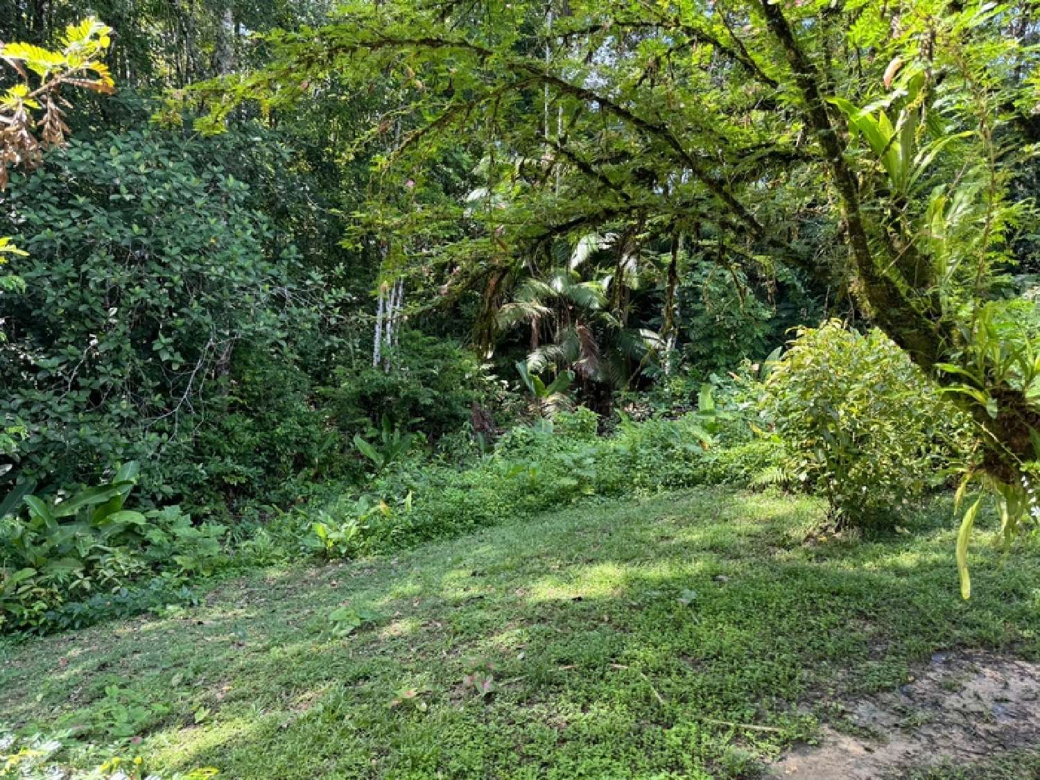  te koop huis Saint-Laurent-du-Maroni Guyane 3