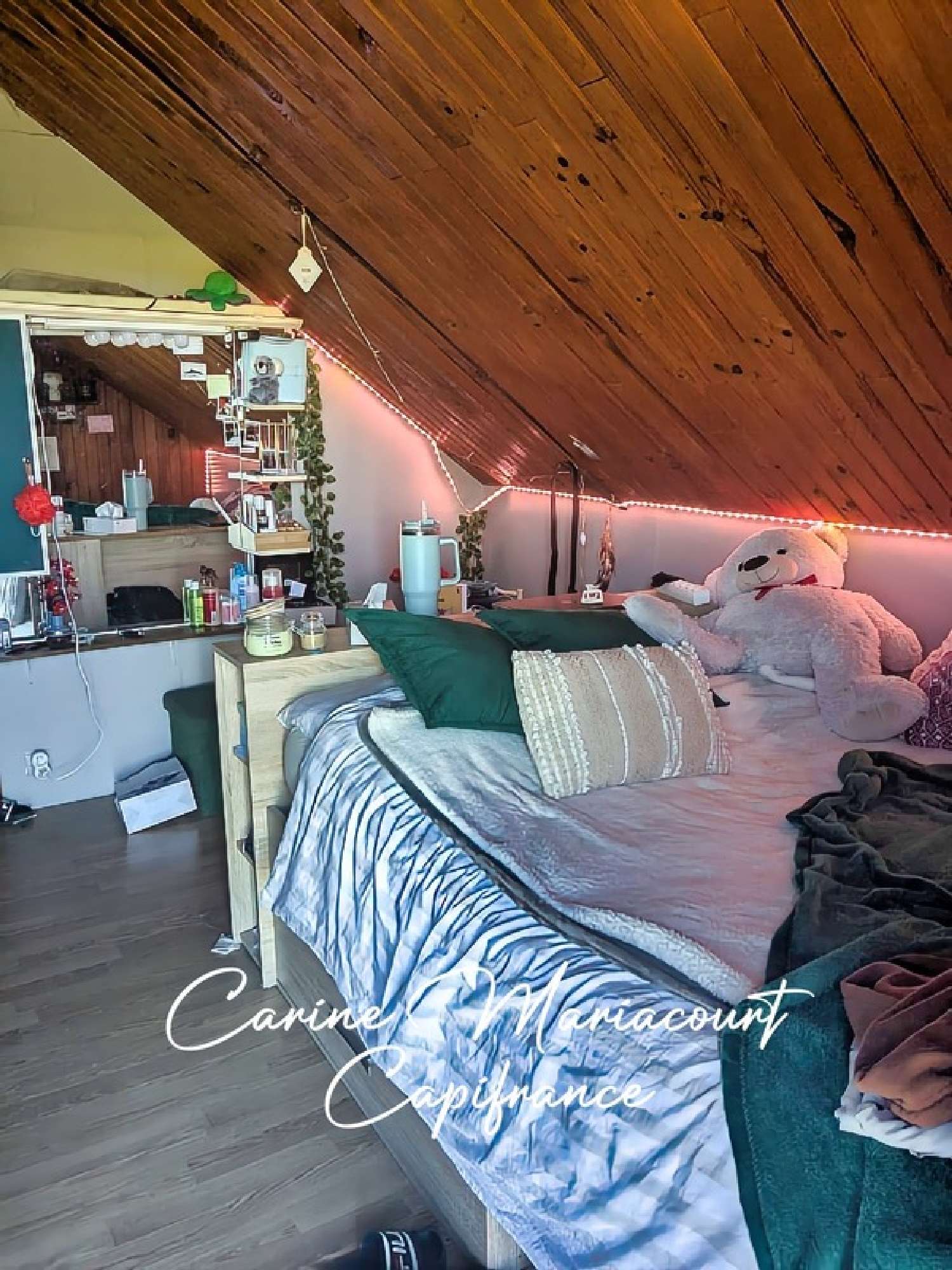  à vendre maison Saint-Maixent-l'École Deux-Sèvres 5