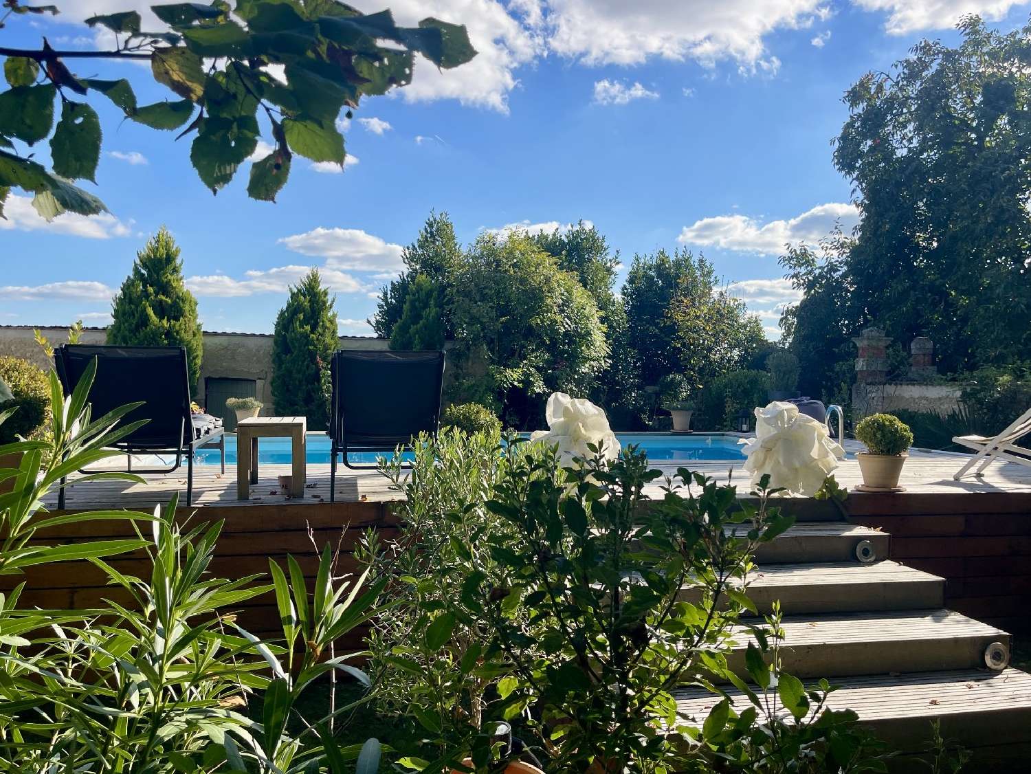  kaufen Haus Saint-Martin-de-Juillers Charente-Maritime 6