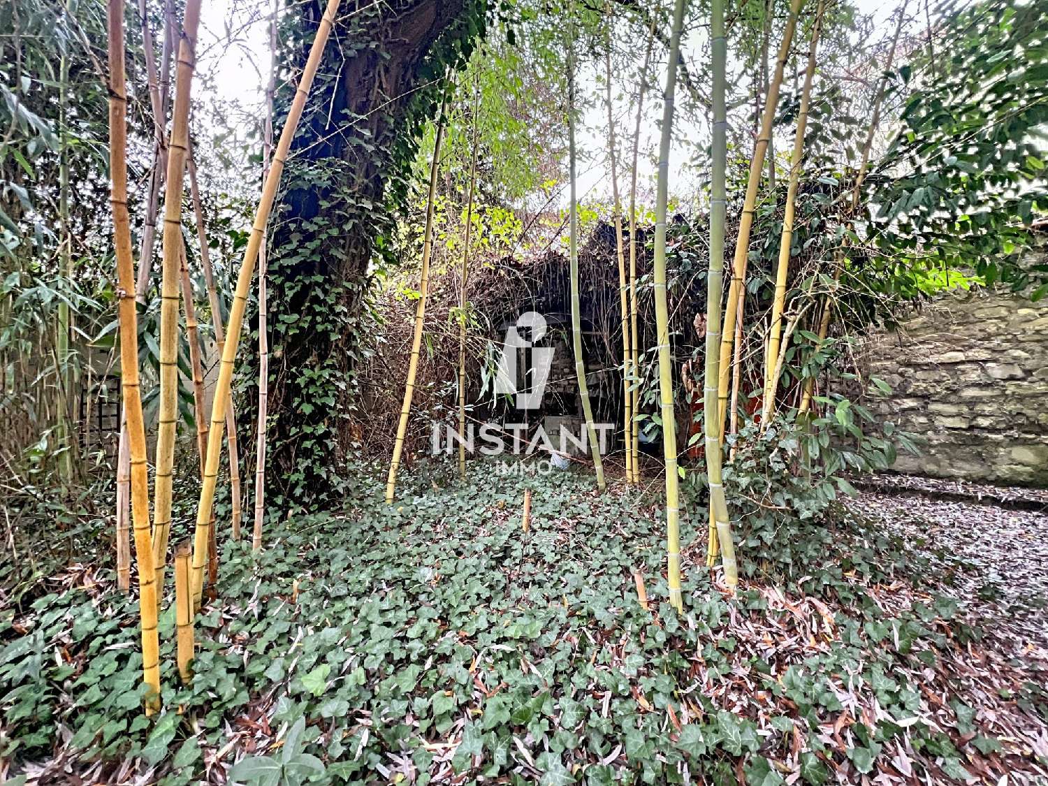  te koop huis Saint-Maurice Val-de-Marne 2