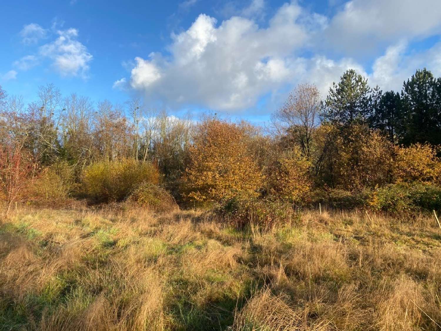  kaufen Haus Saint-Morillon Gironde 4