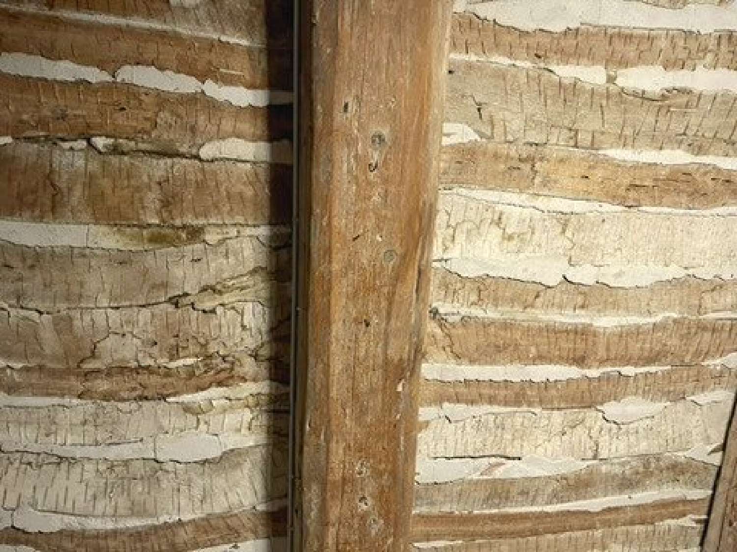  te koop huis Saint-Nazaire-des-Gardies Gard 5