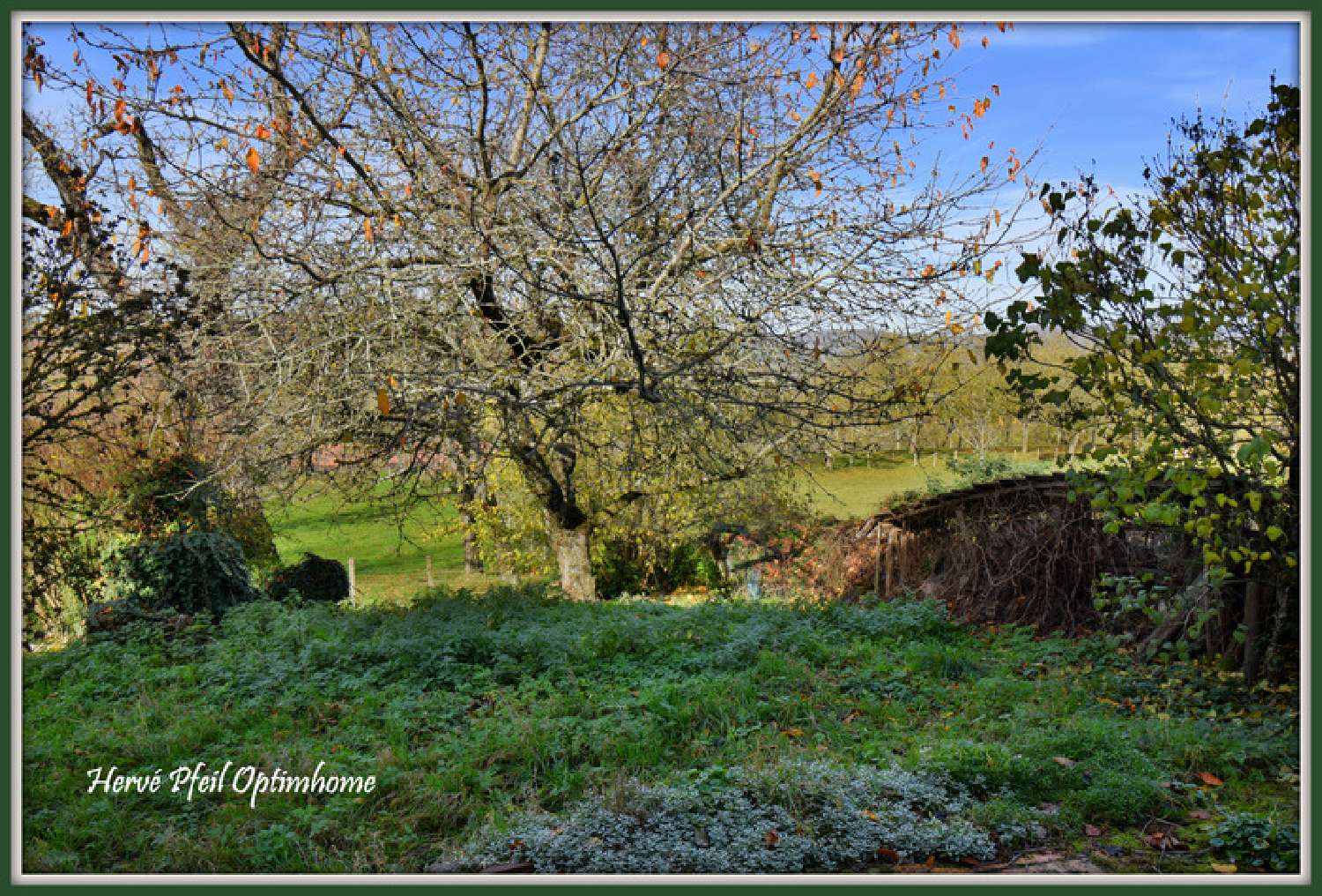  à vendre maison Saint-Paul-d'Izeaux Isère 8