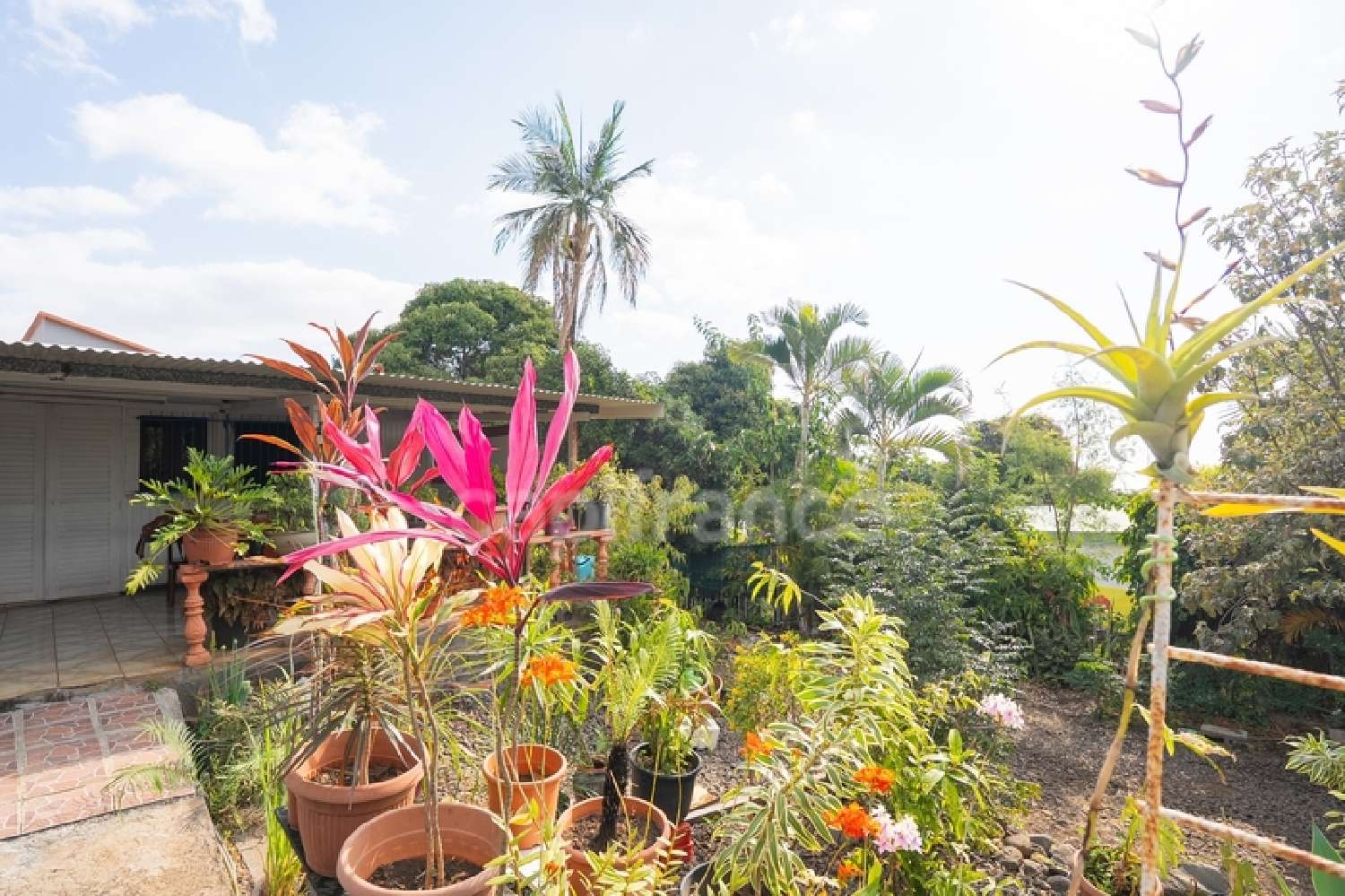  te koop huis Saint-Paul La Réunion 3