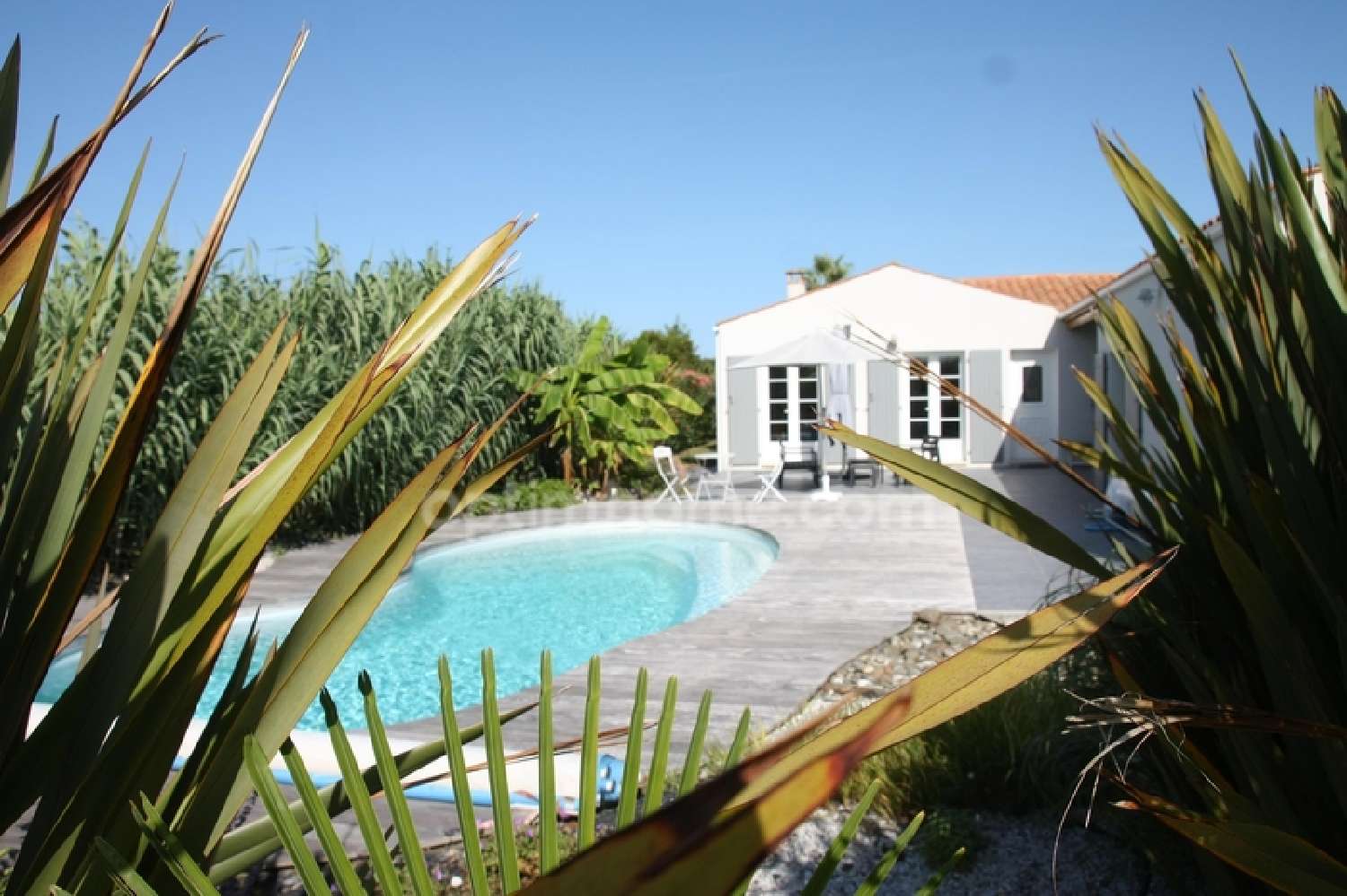  for sale house Saint-Pierre-d'Oléron Charente-Maritime 1