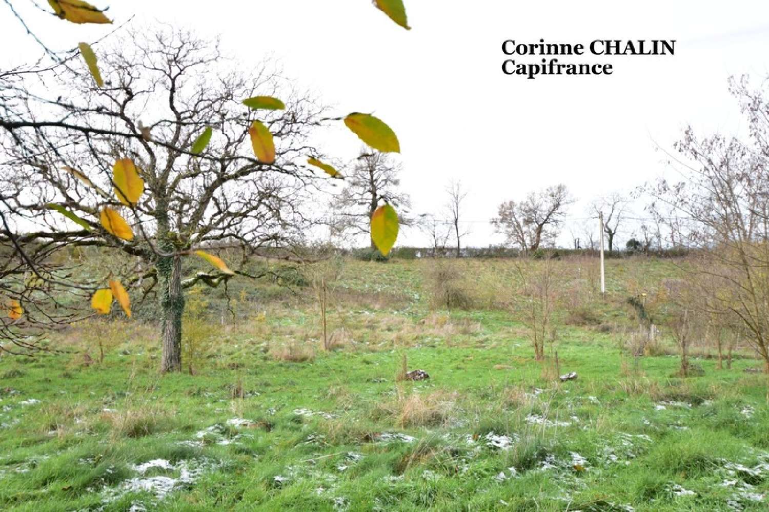 for sale house Saint-Prix Allier 4