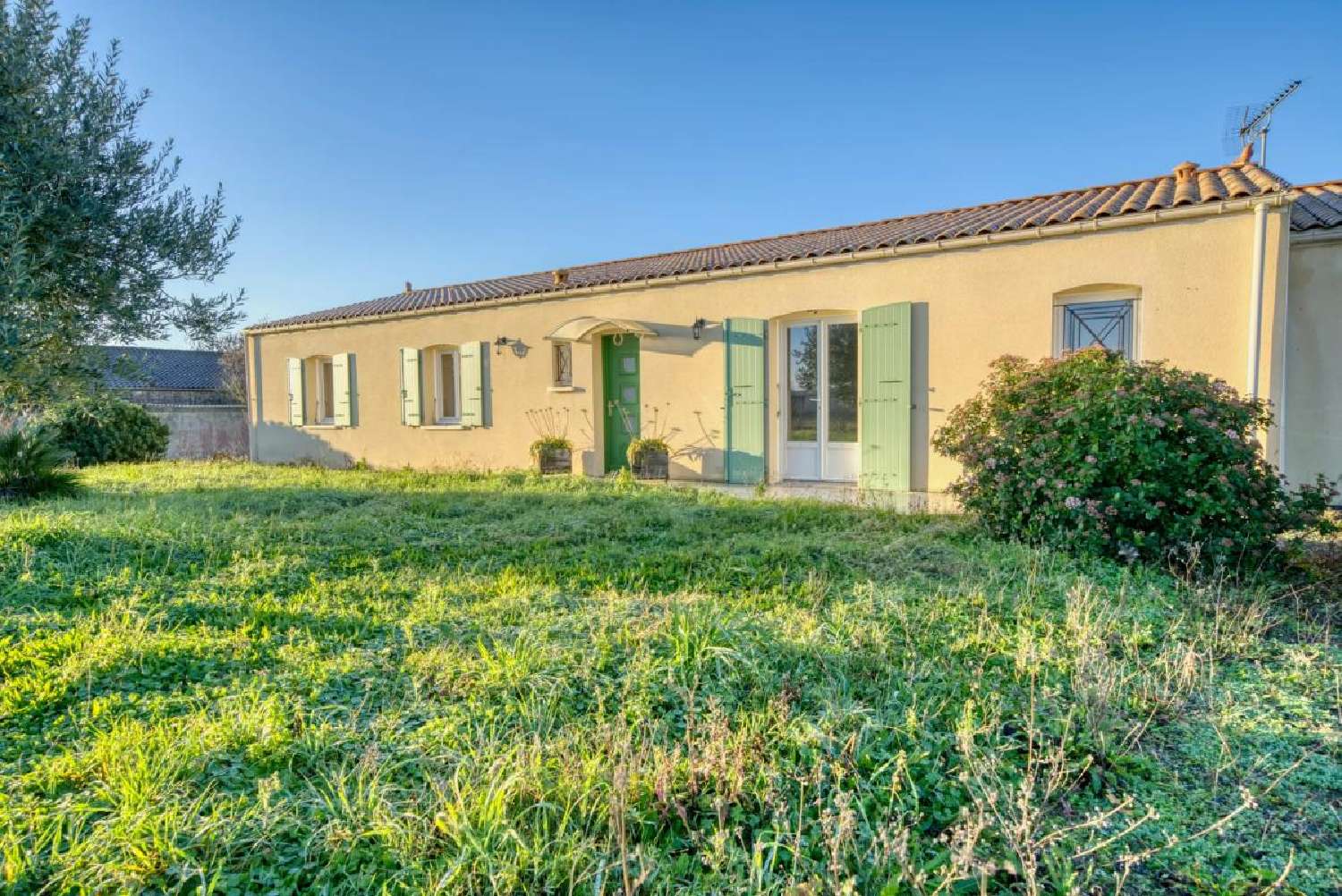  for sale house Saint-Savinien Charente-Maritime 1