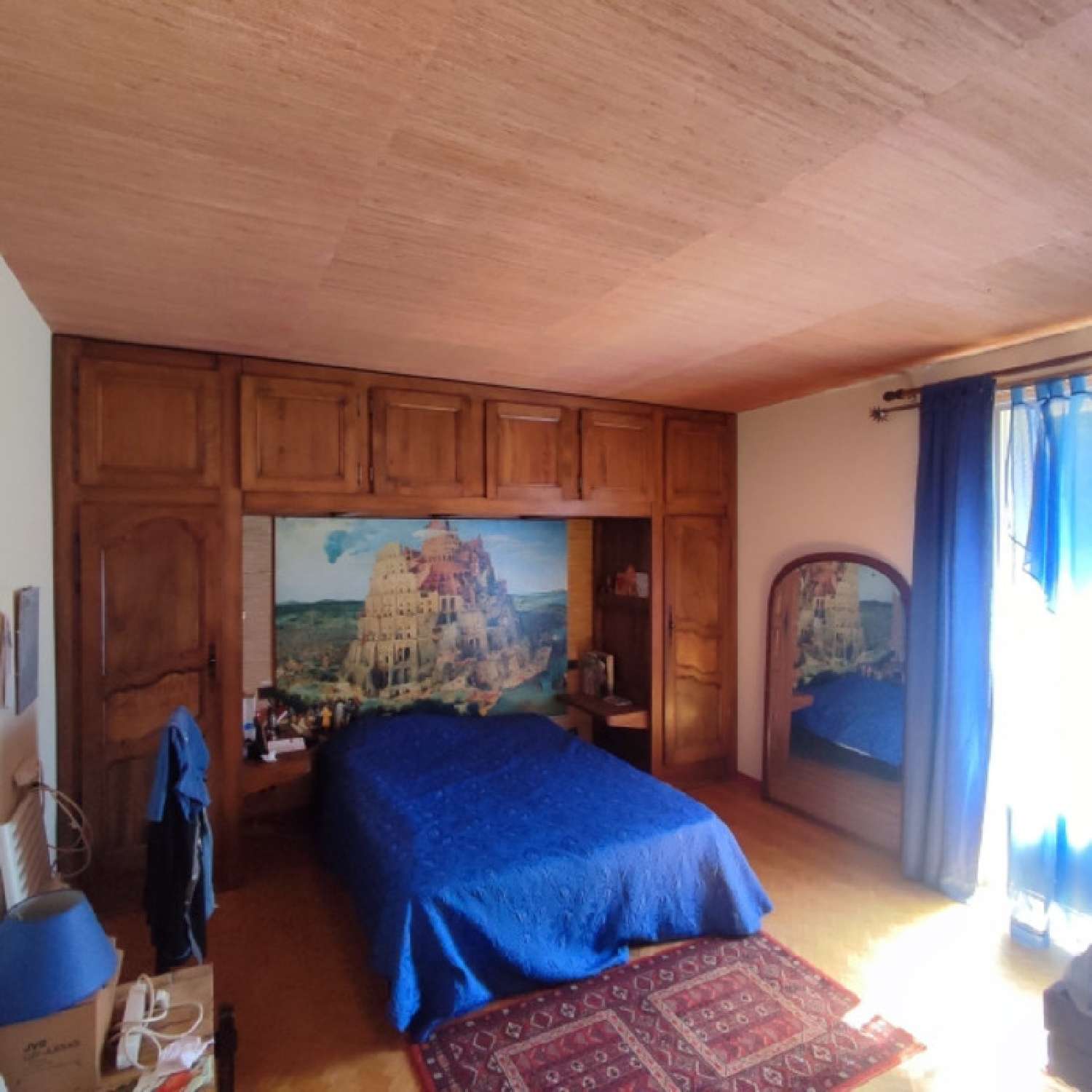 te koop huis Saint-Victor-sur-Loire Loire 6