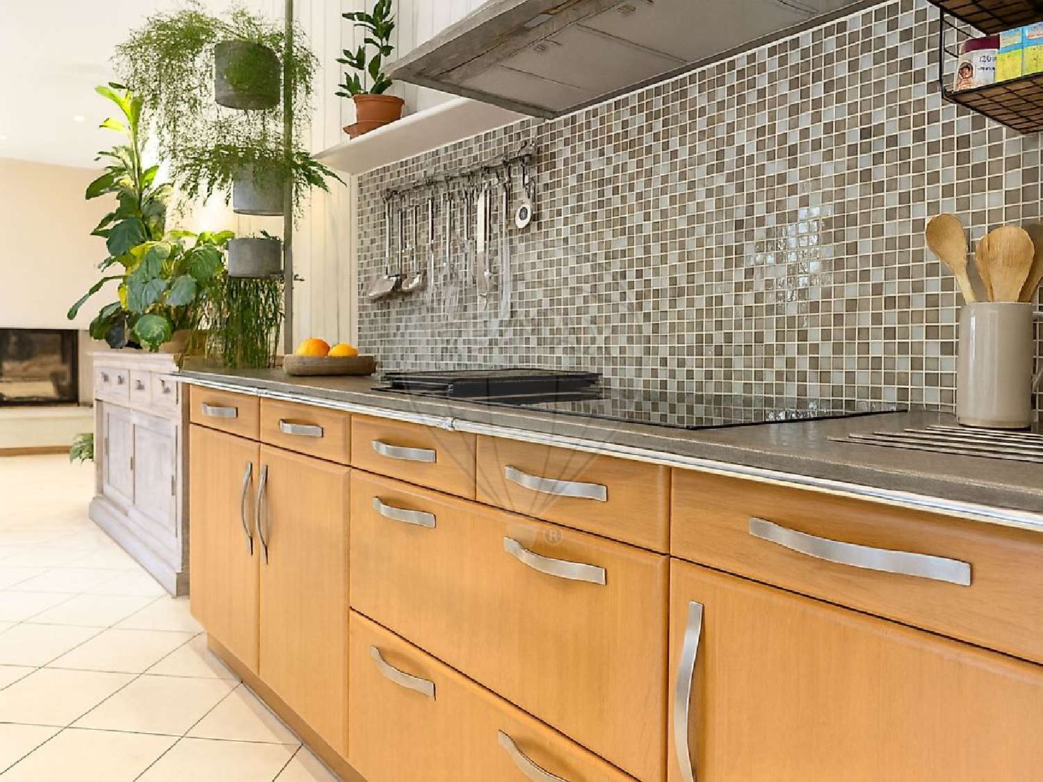 à vendre maison Saint-Witz Val-d'Oise 5