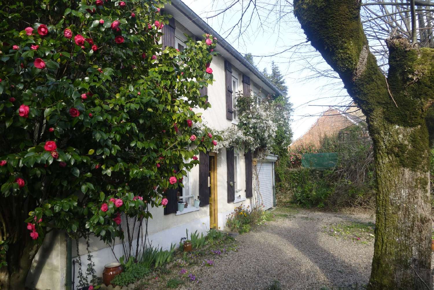  te koop huis Saint-Yrieix-la-Perche Haute-Vienne 1