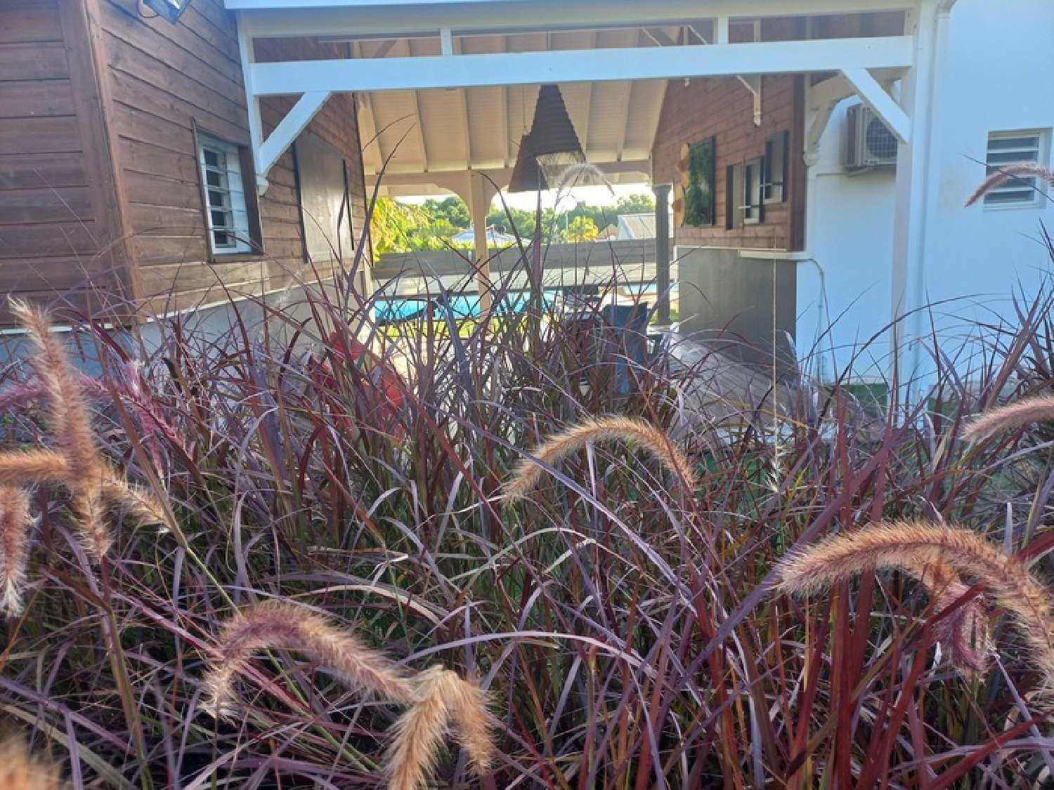 te koop huis Sainte-Anne Guadeloupe 4