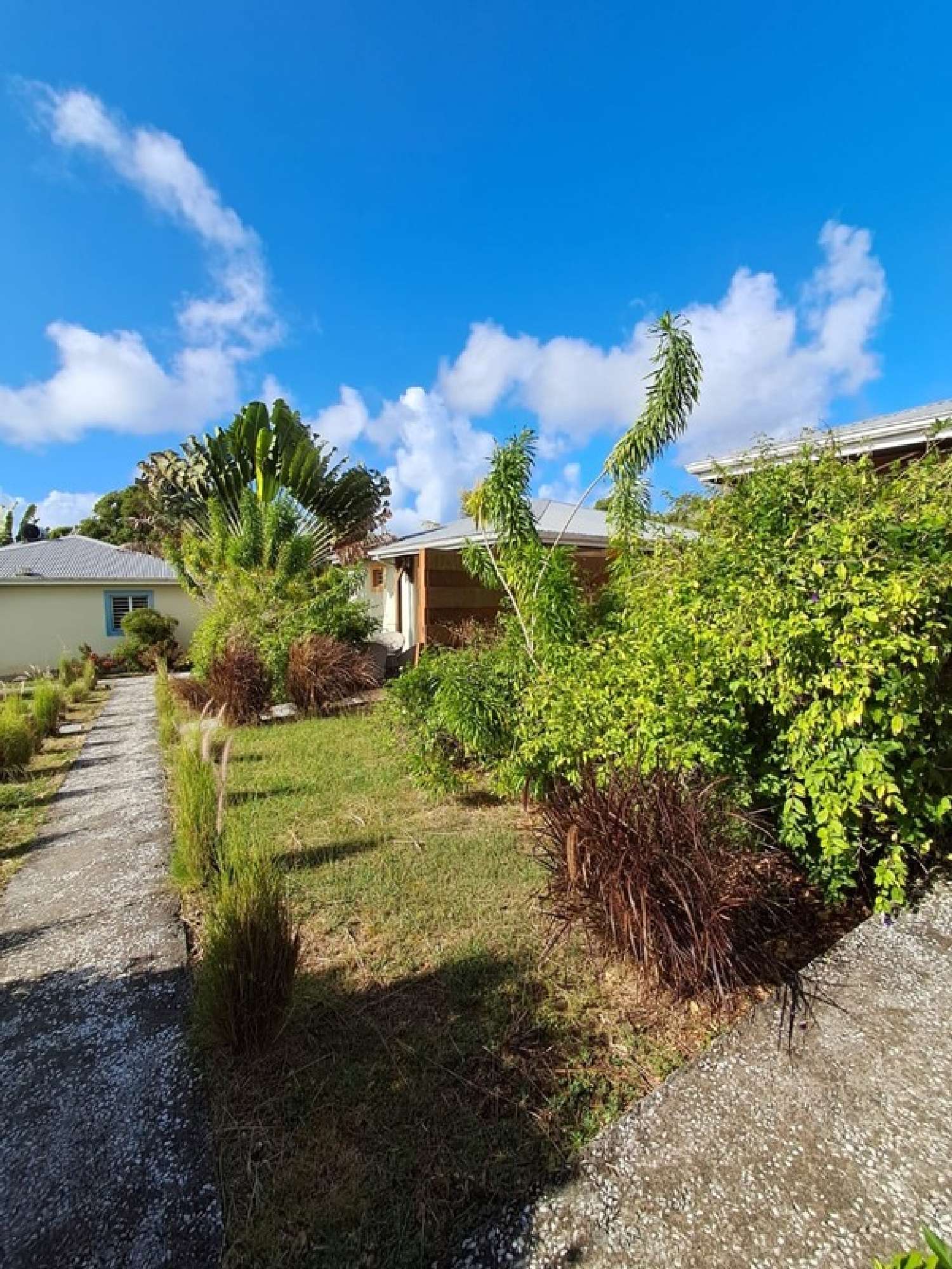 te koop huis Sainte-Anne Guadeloupe 1
