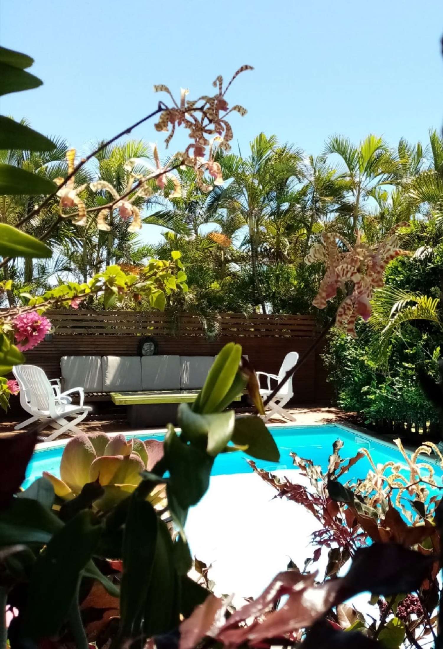 te koop huis Sainte-Anne Guadeloupe 5