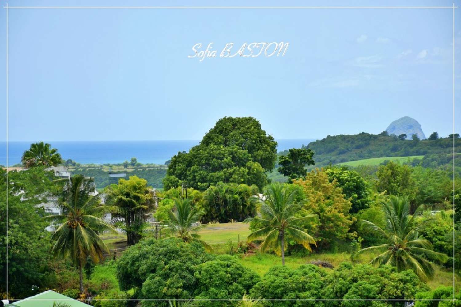  te koop huis Sainte-Luce Martinique 1