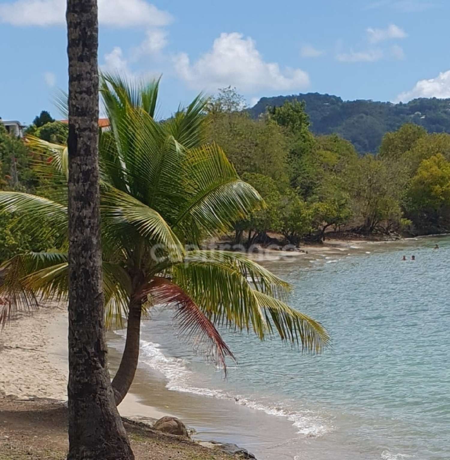 kaufen Haus Sainte-Luce Martinique 2