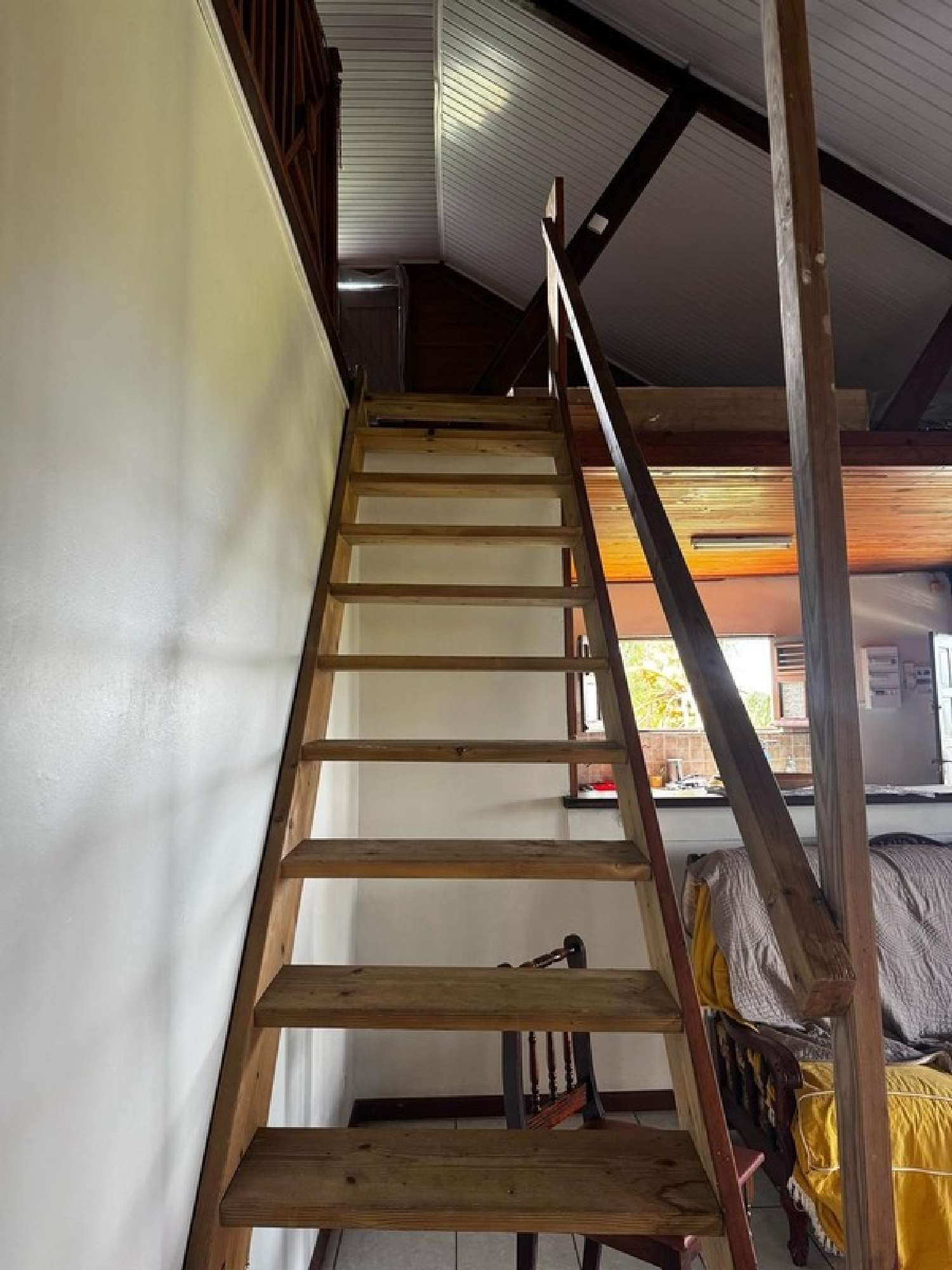 kaufen Haus Sainte-Luce Martinique 5