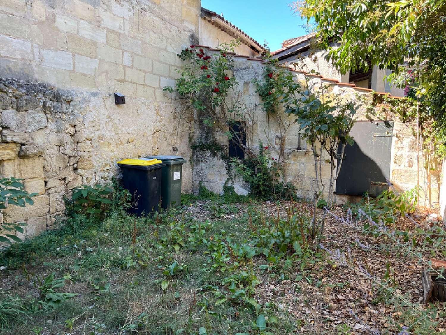  en venta casa Sainte-Terre Gironde 3
