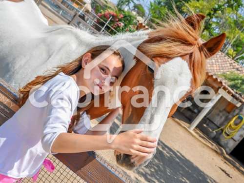 Saintes-Maries-de-la-Mer Bouches-du-Rhône house foto 7219979
