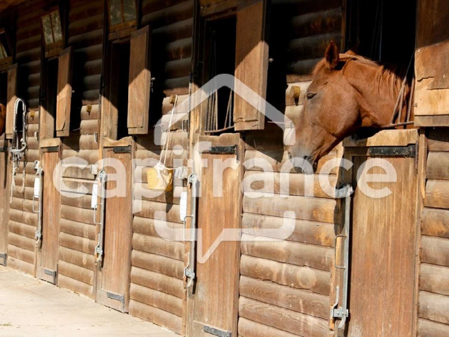 for sale house Saintes-Maries-de-la-Mer Bouches-du-Rhône 2