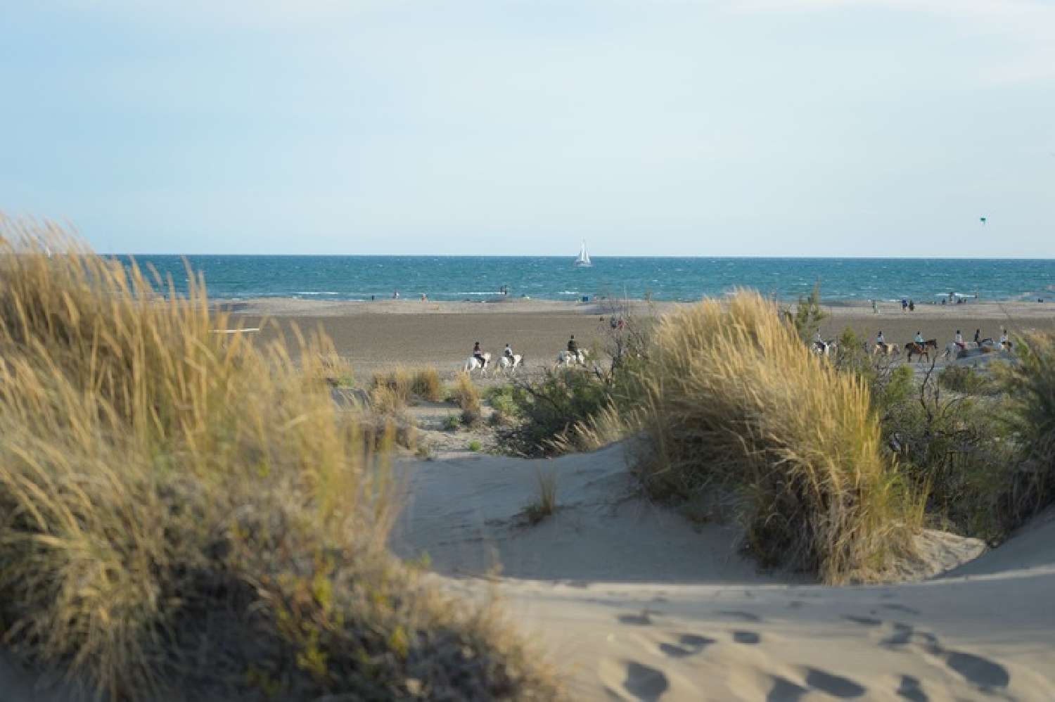 for sale house Saintes-Maries-de-la-Mer Bouches-du-Rhône 3