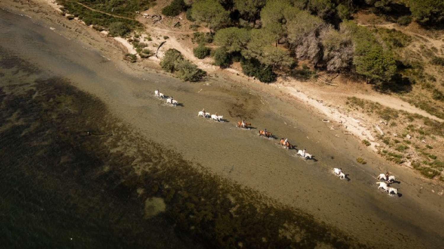 for sale house Saintes-Maries-de-la-Mer Bouches-du-Rhône 4