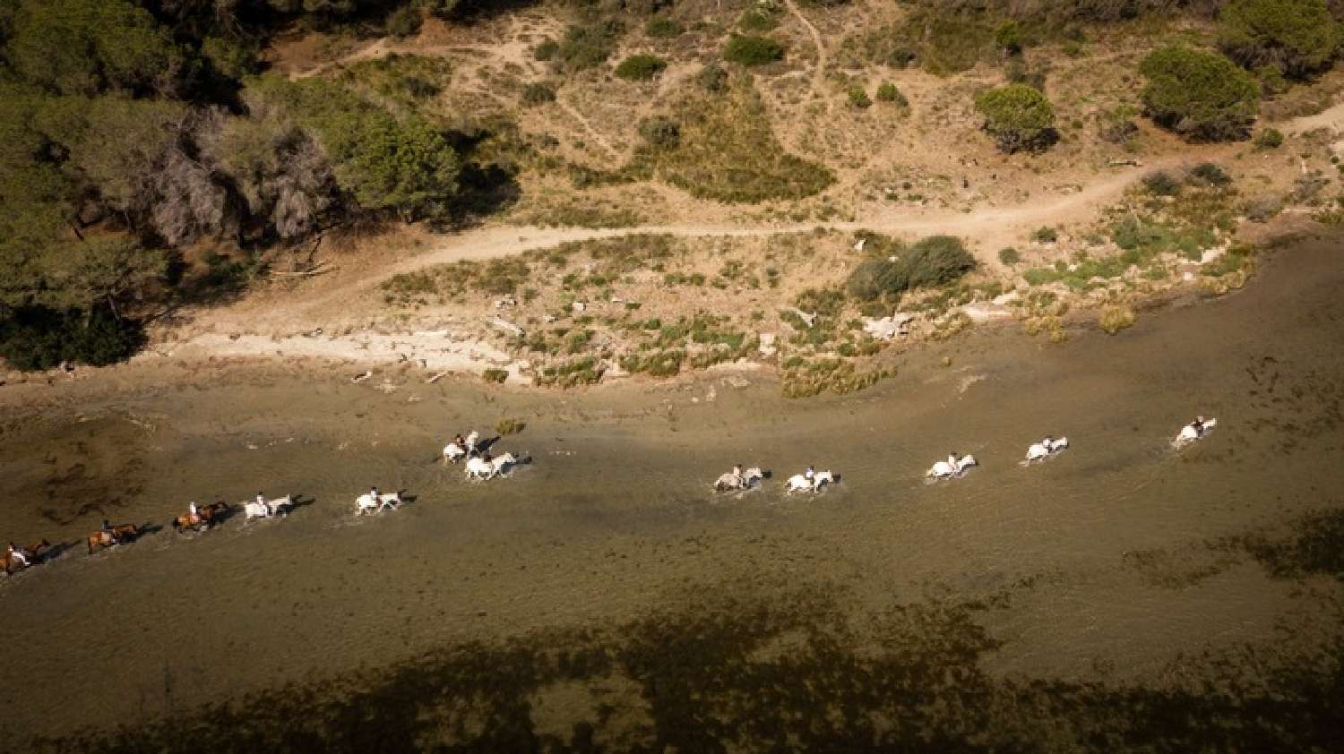 for sale house Saintes-Maries-de-la-Mer Bouches-du-Rhône 5